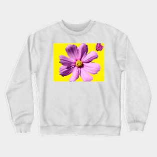 Pink Cosmos Daisy Flower on Yellow Crewneck Sweatshirt